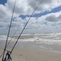 Nordsee (Hvide Sande)-3