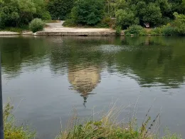 Neckar (Gundelsheim)-1