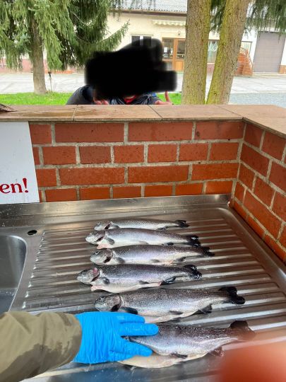 Forellenteich Altenbrak-2