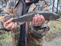 Forellenteich Altenbrak-4