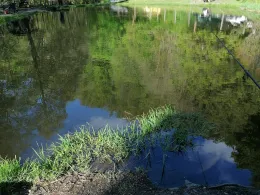 Forellenteich Altenbrak