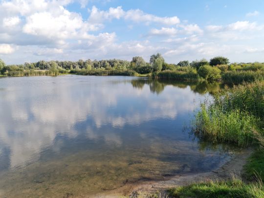 Kiessee Leegebruch-1