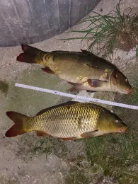 Main-Donau-Kanal (Roth)-1