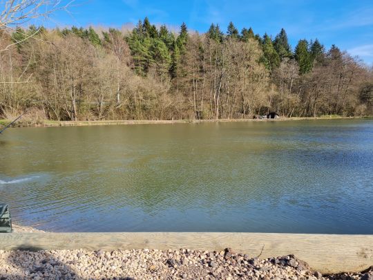Angeln in Niederpierscheid