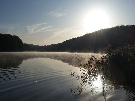 Ploggensee (Grevesmühlen) angeln