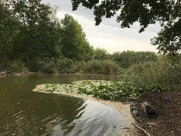 Bauernsee (Berlin-Schönefeld)-4