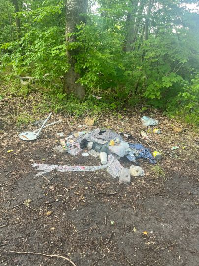 Bauernsee (Berlin-Schönefeld)-3