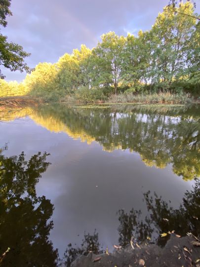 Bauernsee (Berlin-Schönefeld)-1