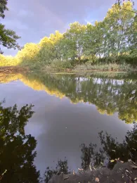 Bauernsee (Berlin-Schönefeld)-1