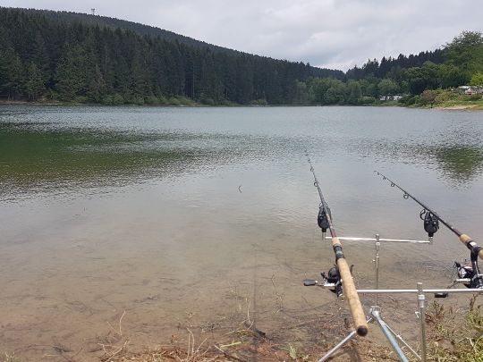 Oberer Grumbacher Teich ALLE ANGELN