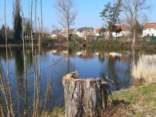 Lehmgrube (Altranstädt)-2