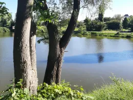 Lehmgrube (Altranstädt)-1