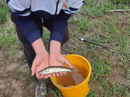 Talsperre Hohenleuben-4