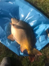 Naherholungsgebiet Riedlingen-2