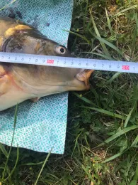 Naherholungsgebiet Riedlingen-4