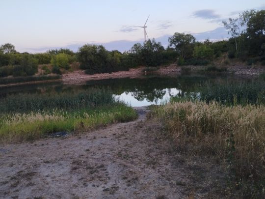 Ziegeleiteich Werbig-3