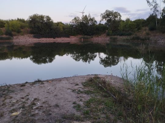 Ziegeleiteich Werbig-1