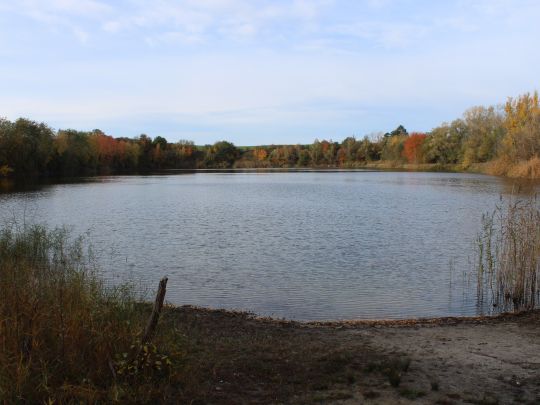 Friedhofsteich (Halle)-1