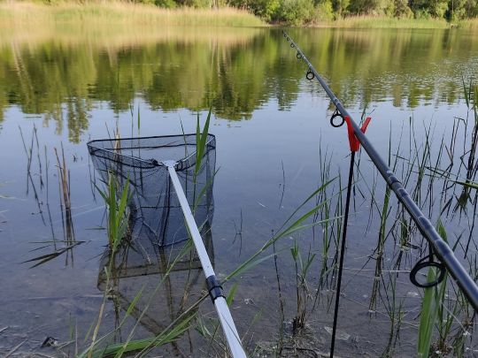 Friedhofsteich (Halle)-4