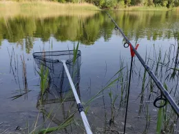 Friedhofsteich (Halle)-4