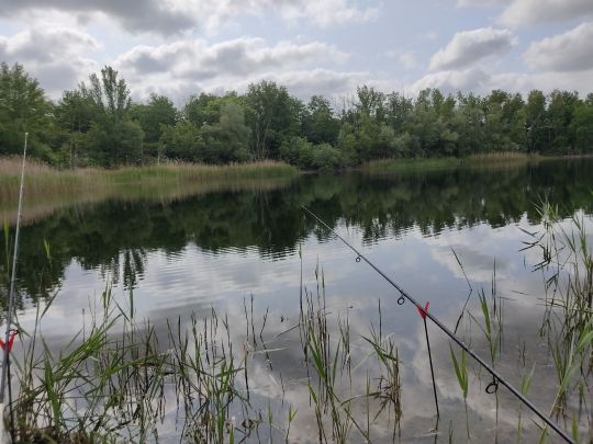 Friedhofsteich (Halle)-3