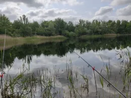 Friedhofsteich (Halle)-3