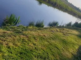 Kremper Au (Süderau)-1