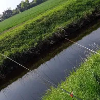 Kremper Au (Süderau)