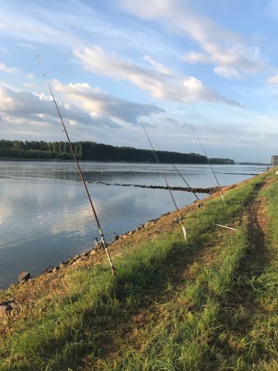 Camping Les Peupliers (Seltz)-1