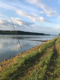 Camping Les Peupliers (Seltz)-1