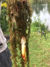 Großer Kuttenreichsee-0