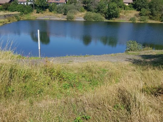 Oberer Eschenbacher Teich ALLE ANGELN