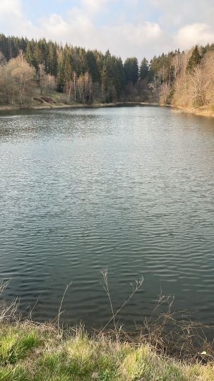Oberer Eschenbacher Teich ALLE ANGELN