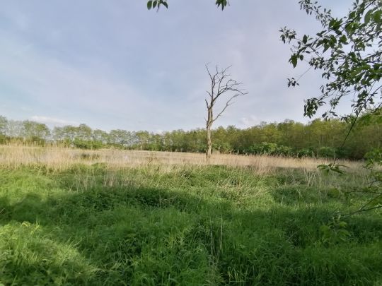 Großer Röthepfuhl-1