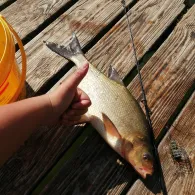 Glambecksee (Lychen)-1