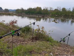 Donau (Kapfelberg)-1