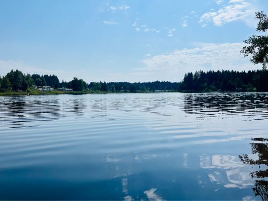 Hinterweiher (Herlazhofer Weiher)-1