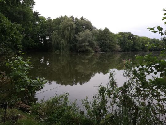 Merzdorfer Teich ALLE ANGELN