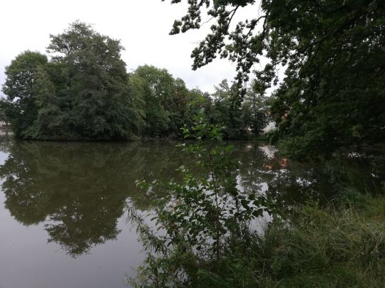 Merzdorfer Teich ALLE ANGELN