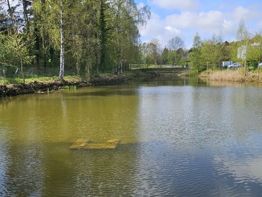 Eetzteich (Lütjenburg)