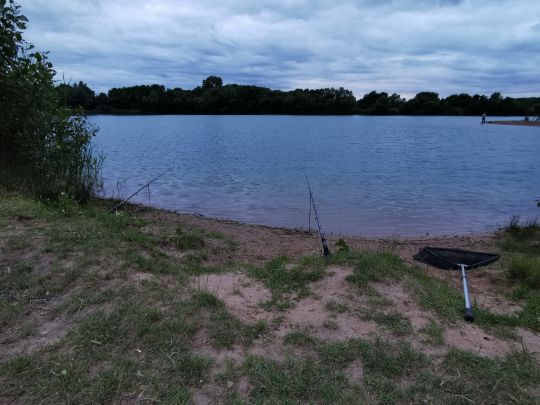 Kiesteich Reinshof-2