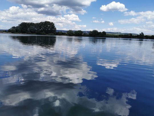 Kiesteich Reinshof-1