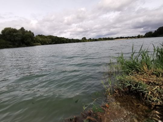 Kiesteich Reinshof-3