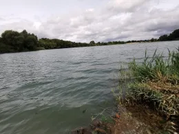 Kiesteich Reinshof-3