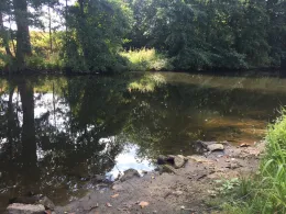 Münstersche Aa (Greven)-1