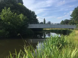 Münstersche Aa (Greven)