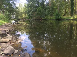 Münstersche Aa (Greven)-0