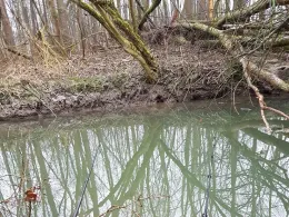 Werburgergräfte (Spenge)-1