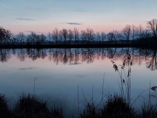 Brettmühlenteich (Zschorna)-4