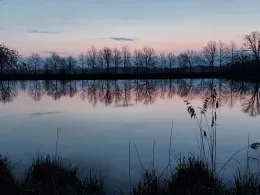 Brettmühlenteich (Zschorna)-4